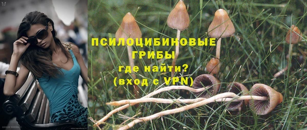 MDMA Богородск